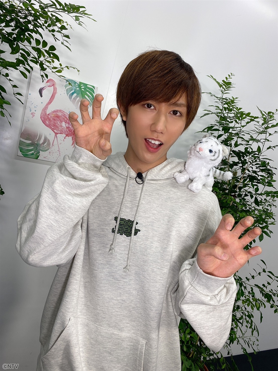 ZIP! 【公式】 on X: 