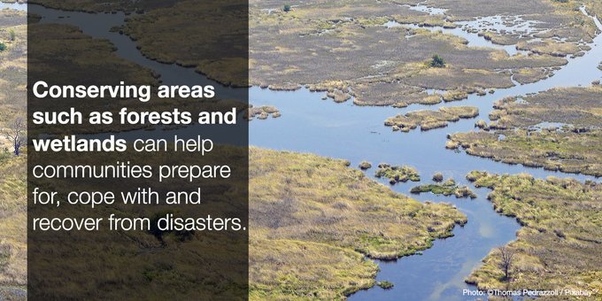 The frequency of natural disasters is increasing, but nature can help us deal with them ow.ly/yr3n50yDzpt  #NatureBasedSolutions #ClimateReport