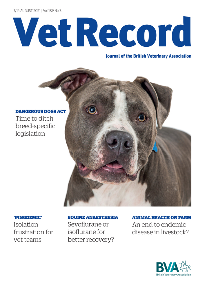 BritishVets's tweet image. This Thursday will mark three decades since the Dangerous Dogs Act came into force. 

The editorial in the latest issue of our journal @Vet_Record sums up why  breed-specific legislation has been ineffective and why it's time to #EndBSL.

bvajournals.onlinelibrary.wiley.com/doi/10.1002/ve…