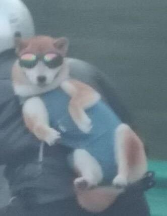 ZOO on Twitter: "zoo yow wassup 😎🤙 https://t.co/eaqMp0wQ4e"