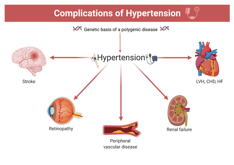 MDPIpharma's tweet photo. #MDPIPharmaceutics 📗
"Arterial Hypertension: Individual Therapeutic Approaches—From DNA Sequencing to Gender Differentiation and New Therapeutic Targets" by Constantin-Tudor Luca et al.
Full paper at https://t.co/xdjjtcpAFs https://t.co/pesLDAb9wQ