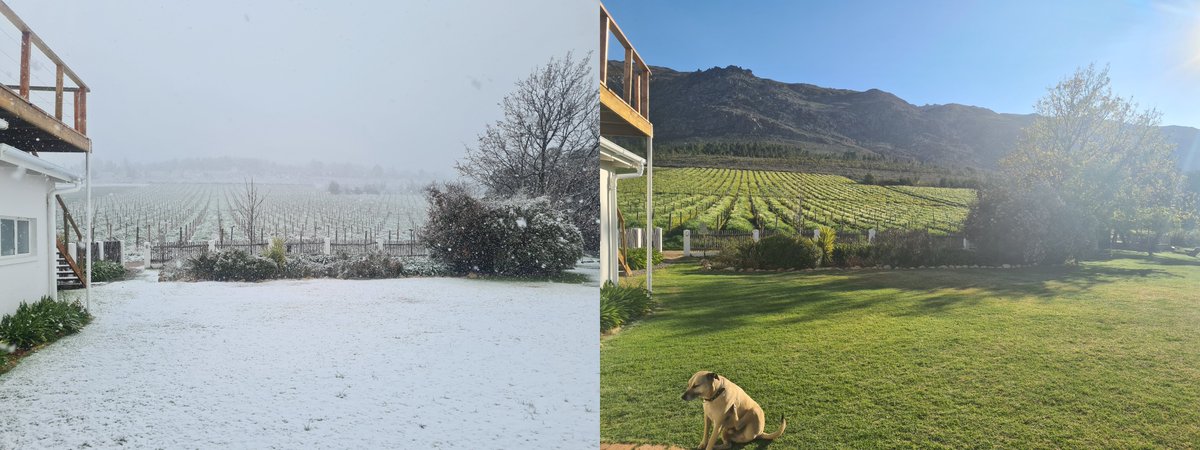 Less than 1 month apart.
#farmlife #southafrica #nature #theoutdoors #landscape #dam #guestfarm #weddingvenue #travel #adventure #views #karoo #koovalley #bassfishing #cottage #holidays #chilled #getaways #cottages #selfcatering  #hottubs #horseriding🐴