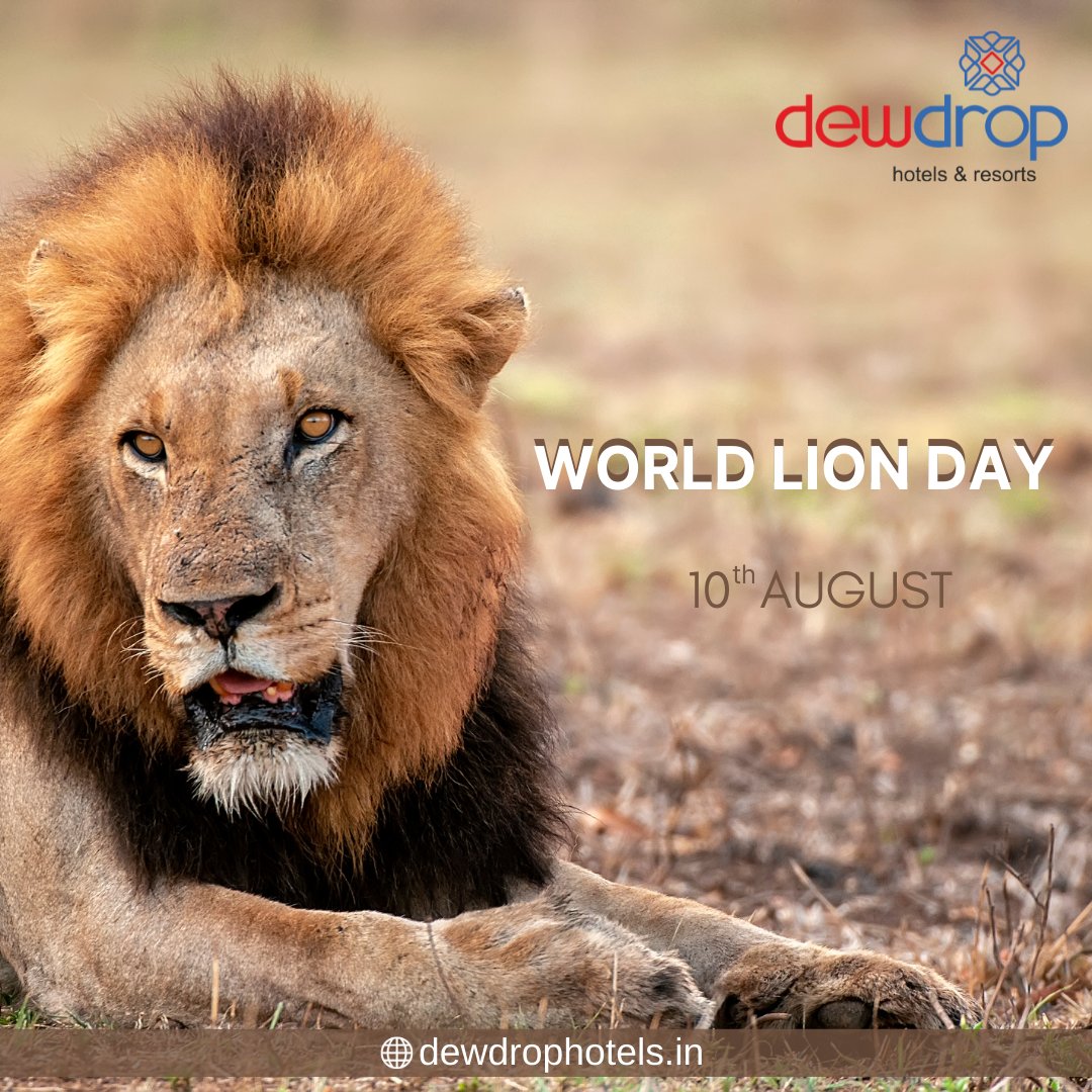 Dewdrophotelsin's tweet photo. Take an oath on this World Lion Day, to help and save the natural habitat of the jungle’s king to ensure his survival.
Happy #WorldLionDay .
.
#WorldLionDay | 10th Aug
Happy ROARsome day to the King of Beasts
.
.
#DewDropHotels #dewdrophotelsandresorts
#wishes #WorldLionDay2021 https://t.co/cFXLRr1ZO1