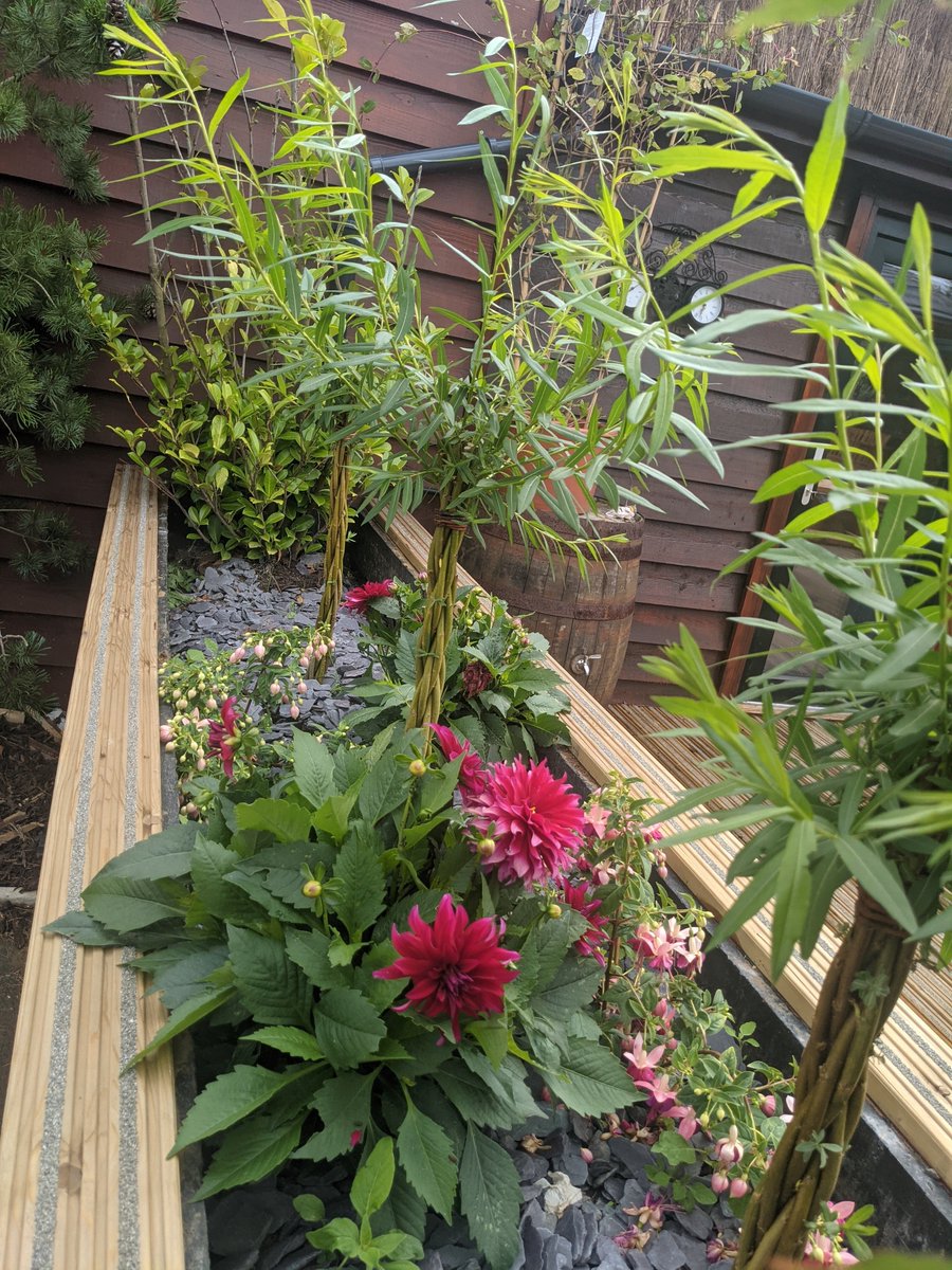 Our team have been busy making a calm, relaxing courtyard for the Cambridgeshire office 🌿🌱

What do you think? Any suggestions on what else it needs?

#selfbuild #construction #cambridgeshire #build #carpentry #passivehouse #passivhaus #details #projects #calm #courtyard