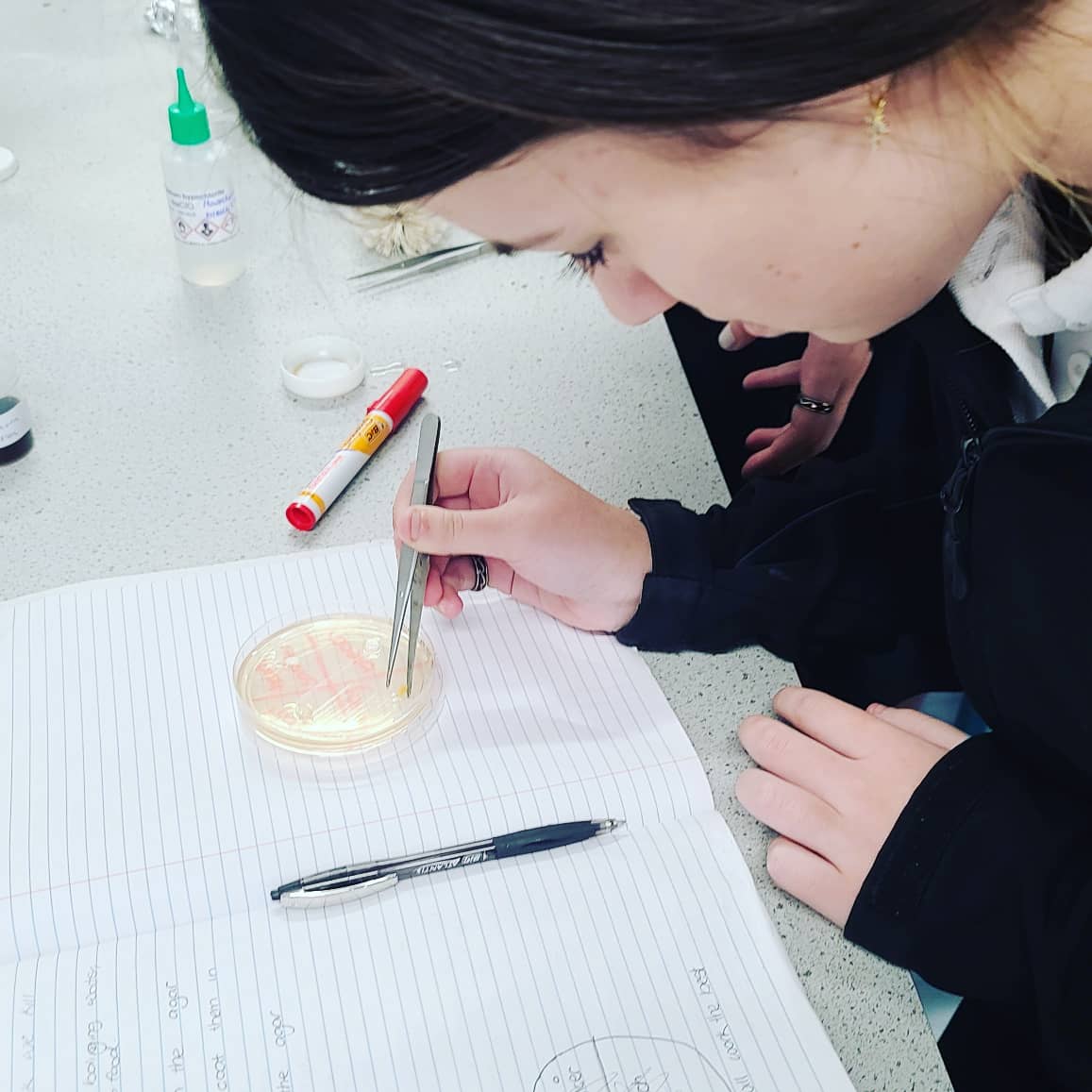 Bec_NZ1's tweet photo. Predicting and Investigating appropriate antiseptics. Generating questions and developing solid science inquiry and practical skills. Applying their learning to real life is awesome.  #OtumoetaiCollege #iTeachScience https://t.co/mrArKFOLNq