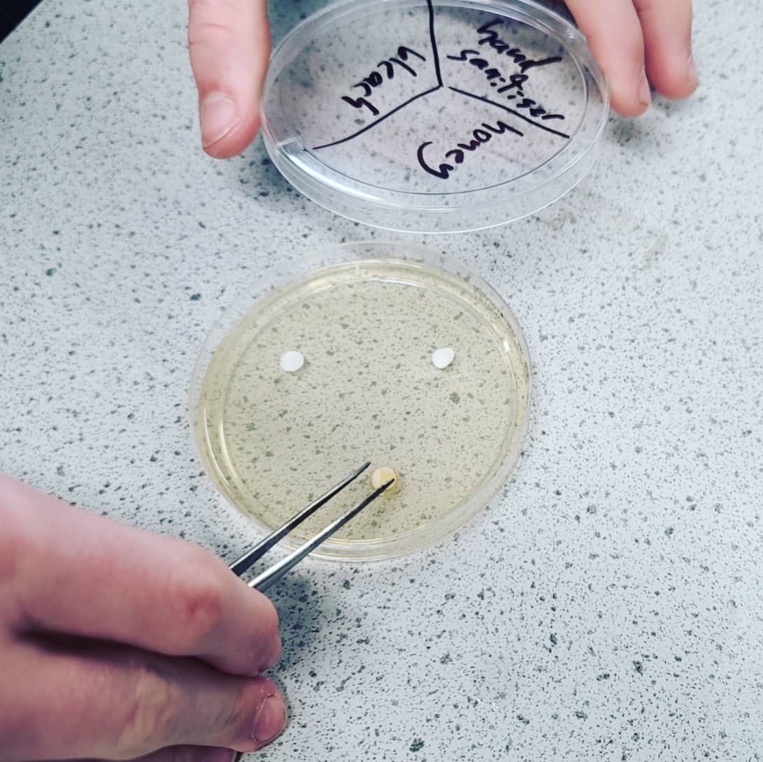 Bec_NZ1's tweet photo. Predicting and Investigating appropriate antiseptics. Generating questions and developing solid science inquiry and practical skills. Applying their learning to real life is awesome.  #OtumoetaiCollege #iTeachScience https://t.co/mrArKFOLNq