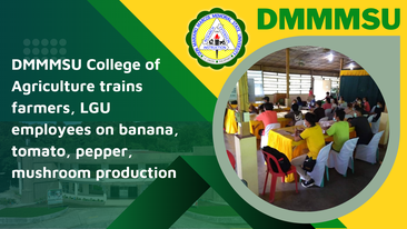 DMMMSUEduPh's tweet photo. DMMMSU College of Agriculture trains farmers, LGU employees on banana, tomato, pepper, mushroom production

Read more: https://t.co/wG5bwM6jbu https://t.co/xl85f6Zf47