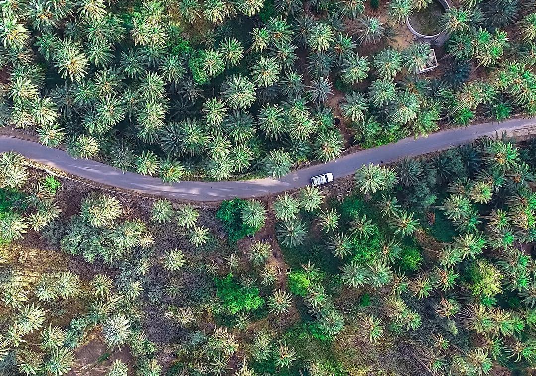 AfrikyaTN's tweet photo. up in the air.. to cherish another shade of the #desert, a refreshing one, blown and pictured by a limitless #oasis as never seen before, thanks to the #drone of Mahmoud Essaidi, from Nefta, #Tunisia's southern-western corner.. Comfy day! https://t.co/HZ2sm9DADM