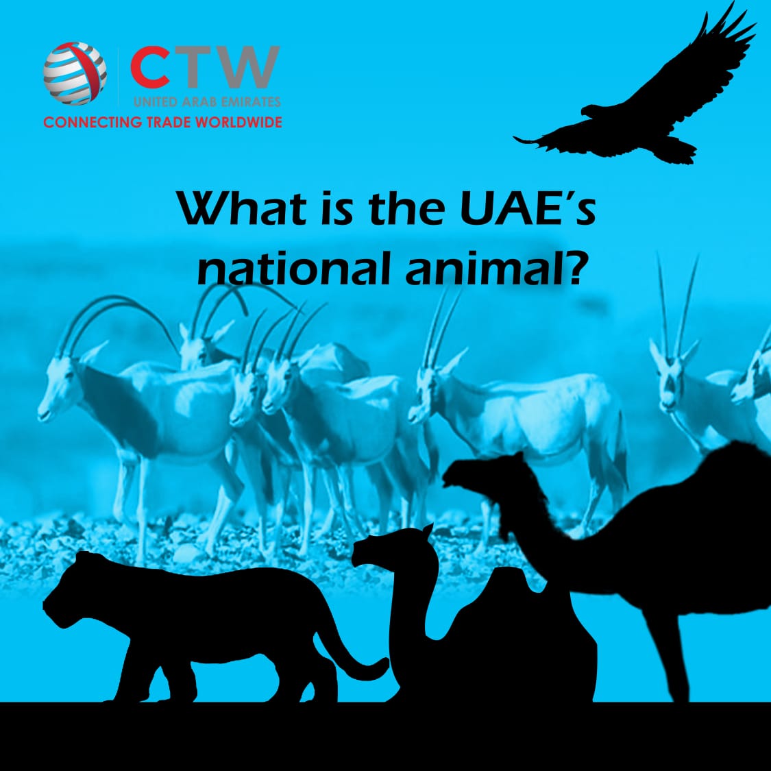 Trivia Tuesday 🤔
How much do you know about the UAE? Share your answers in the comments below 😀

#CTW2022 #Dubai #GlobalTradeShow #GlobalTradeConnect #B2BMarketPlace #TradeExpo #Businesses #BusinessExposure #Growth #BusinessInsights #BusinessConference #BusinessConnect