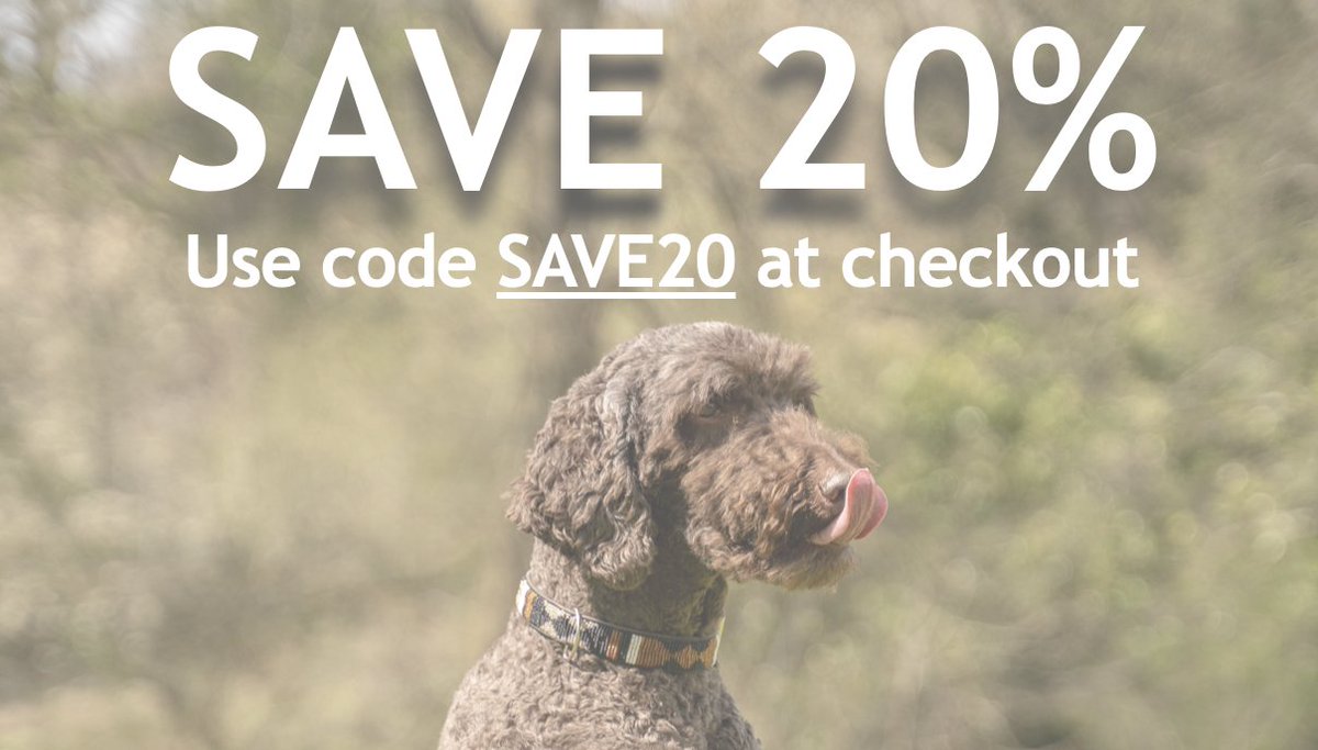 Order with us between now and midnight on Wednesday 11th August and receive a 20% discount!
vetskitchen.co.uk 🐾  🐕‍🦺  🐈