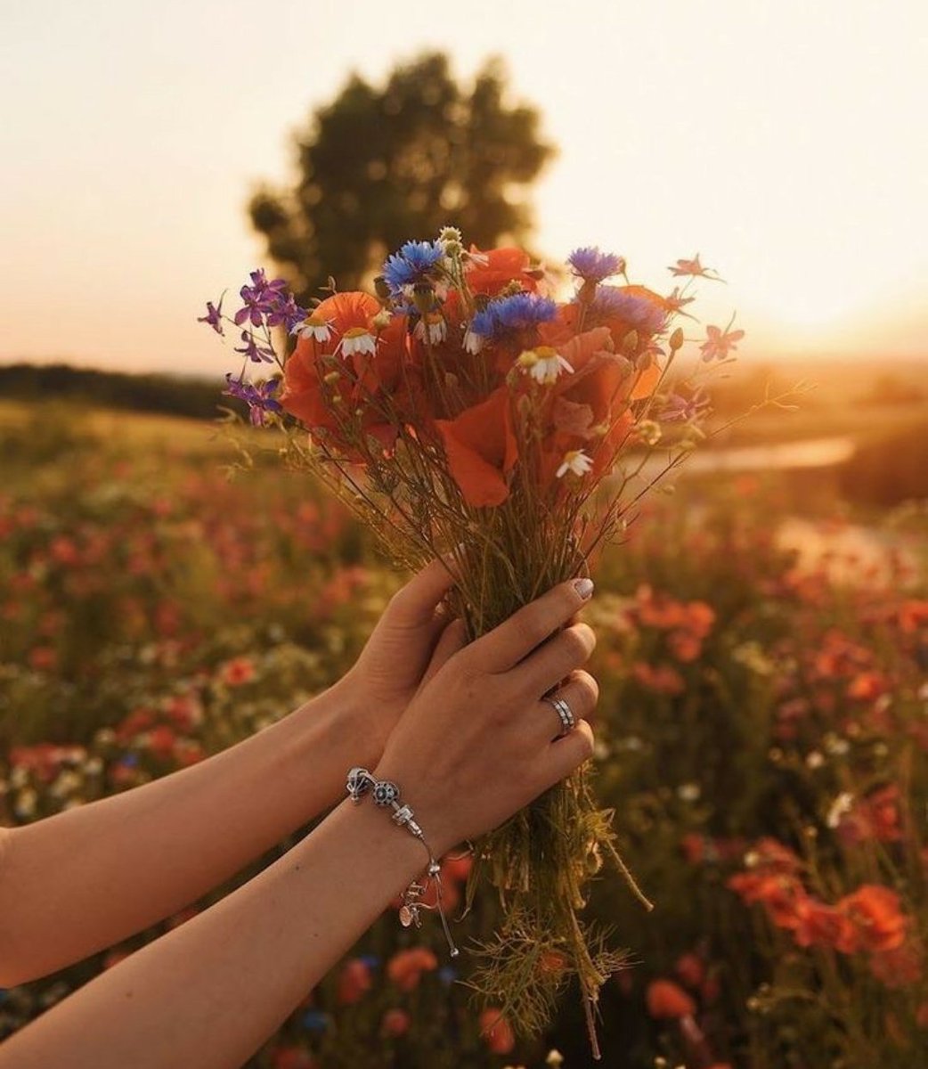 "Sevgi, insanın kalbinde tomurcuklanan nadide bir çiçektir. Mühim olan onu yara almadan yaşatabilmektir."