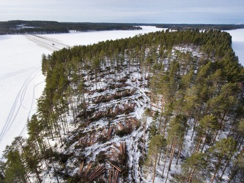 The European Commission unveiled its new forest strategy - including a commitment to plant at least three billion additional trees in the EU over the next decade to boost natural greenhouse gas removals. buff.ly/3lLqqY1
#climateneutral #climate #ClimateCrisis