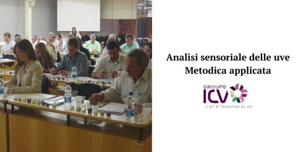 Enopiave's tweet image. Corso in aula con Vinidea : metodologia ICV di analisi sensoriale delle uve - Modulo di metodica applicata

Data 2.09 in @enopiave

enopiave.it/2021/08/03/cor…