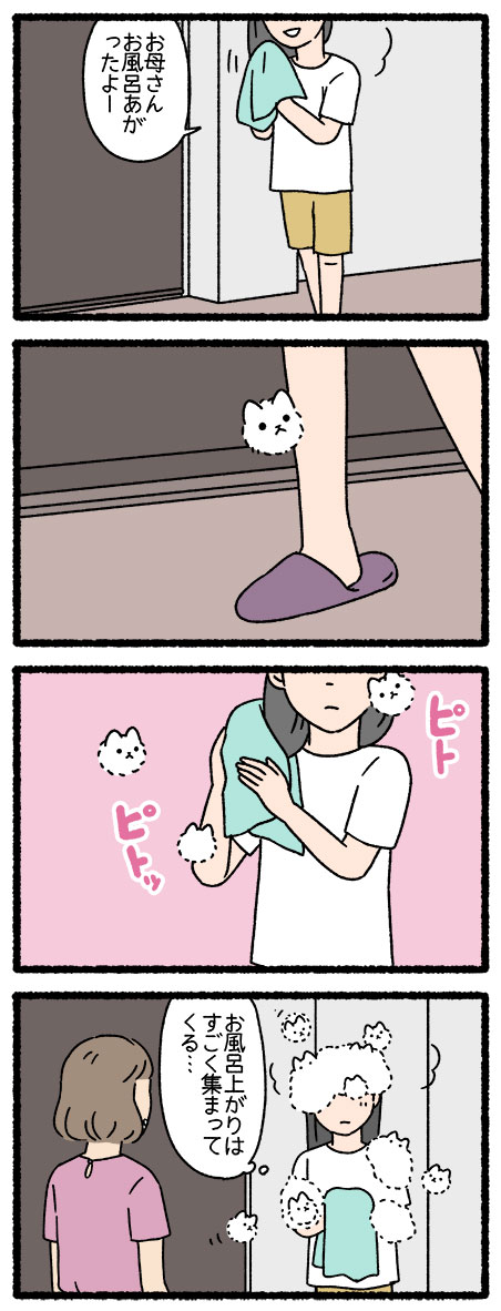 ねこようかい けさらんぱさらん  #ねこようかい 