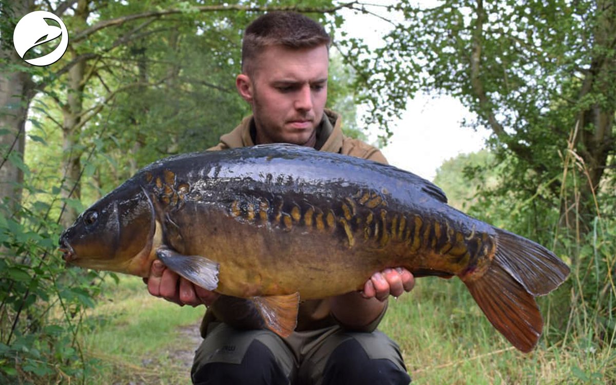 🔐 Breaking the deadlock

🎣 After a run of 24 Tench on the bounce (🥴), Scott Hackett finally broke the curse

👌 A mid 20 scaley Mirror got him back on track

👍 Taken on the Attract Natural Barrel Wafter on a blowback rig over Hemp, Corn, Krilla Krush &amp;  Boilie

Outlaw Pro