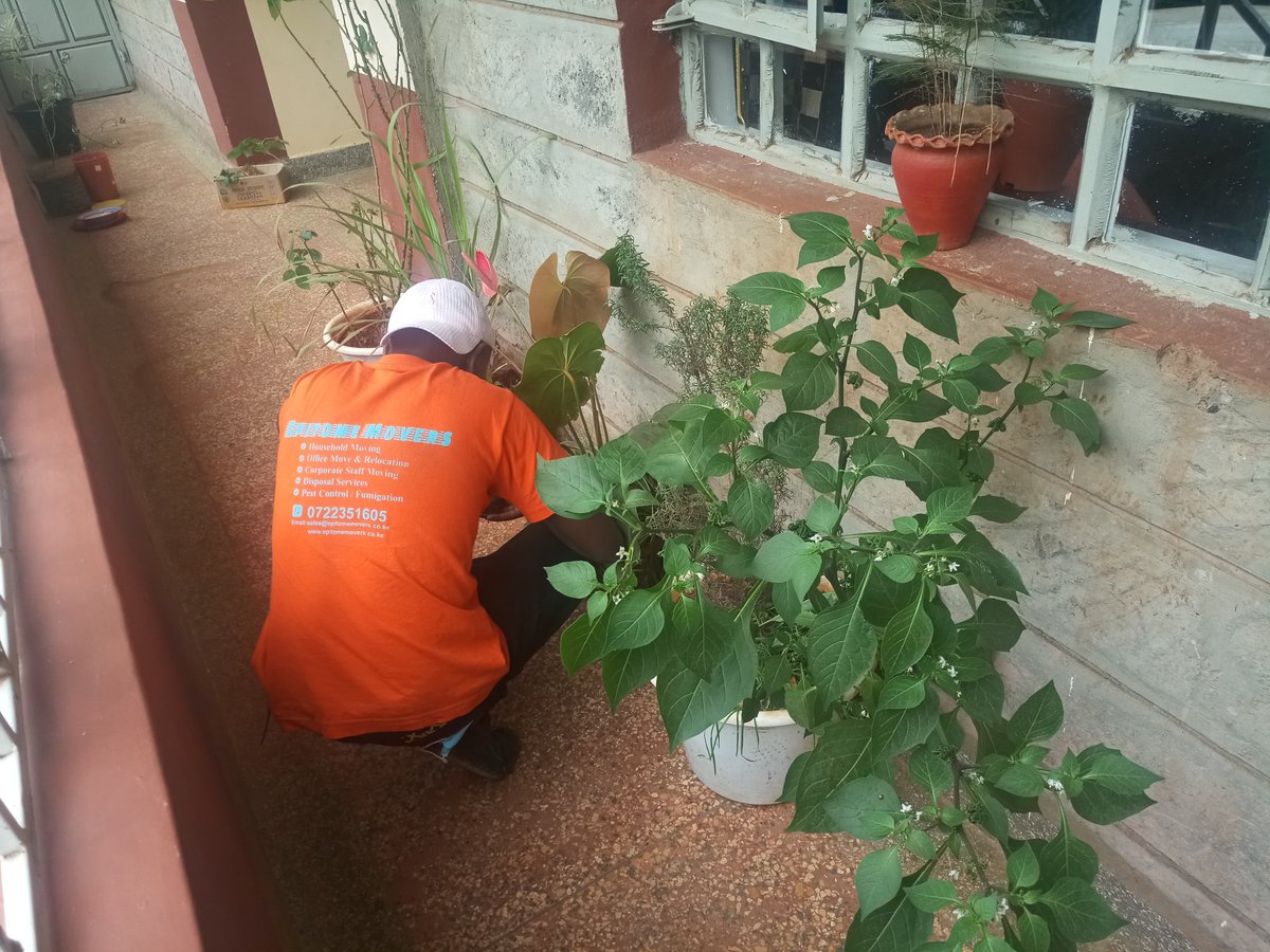 EpitomeMovers's tweet image. Tips for Moving
1. Book a professional moving company.
2.Don&apos;t just book a moving company, book a pocket friendly one.
3.Book EPITOME MOVERS they never disappoint.
Be it on the full house setups, from your flowers,fragiles,bulky items to your bedroom.
We ..1/2