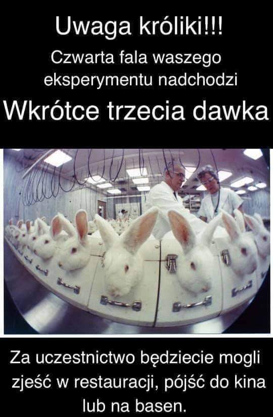KotSzary's tweet photo. https://t.co/uwAp5qKDrU
