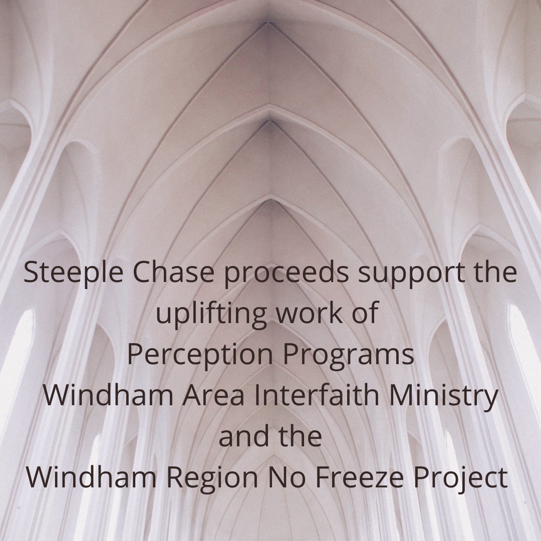 Our event supports the critical work of three eastern Connecticut human service non-profits that help people struggling with drug addiction, homelessness, mental health challenges, and poverty. Your gift, your fundraising truly make a difference in the lives of others.