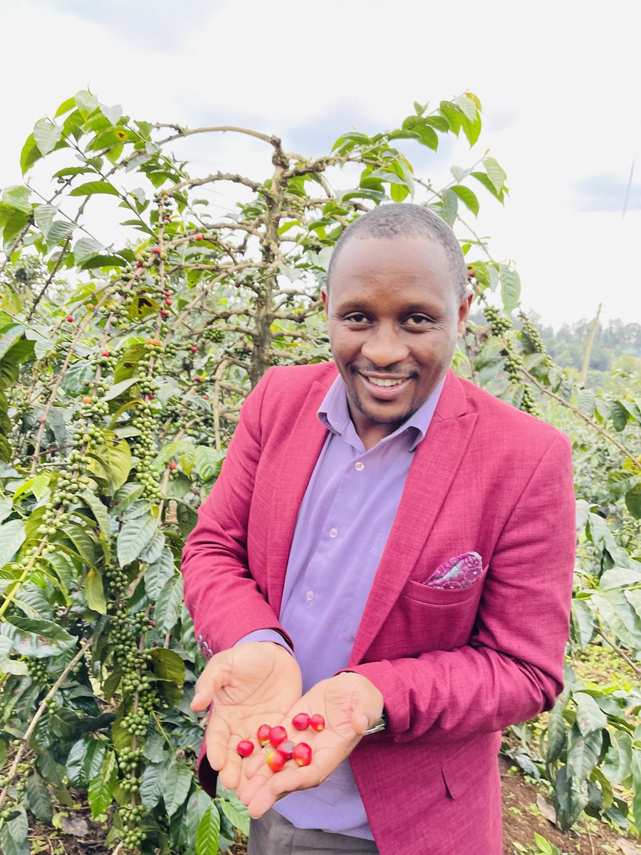 Our Coffee Farm