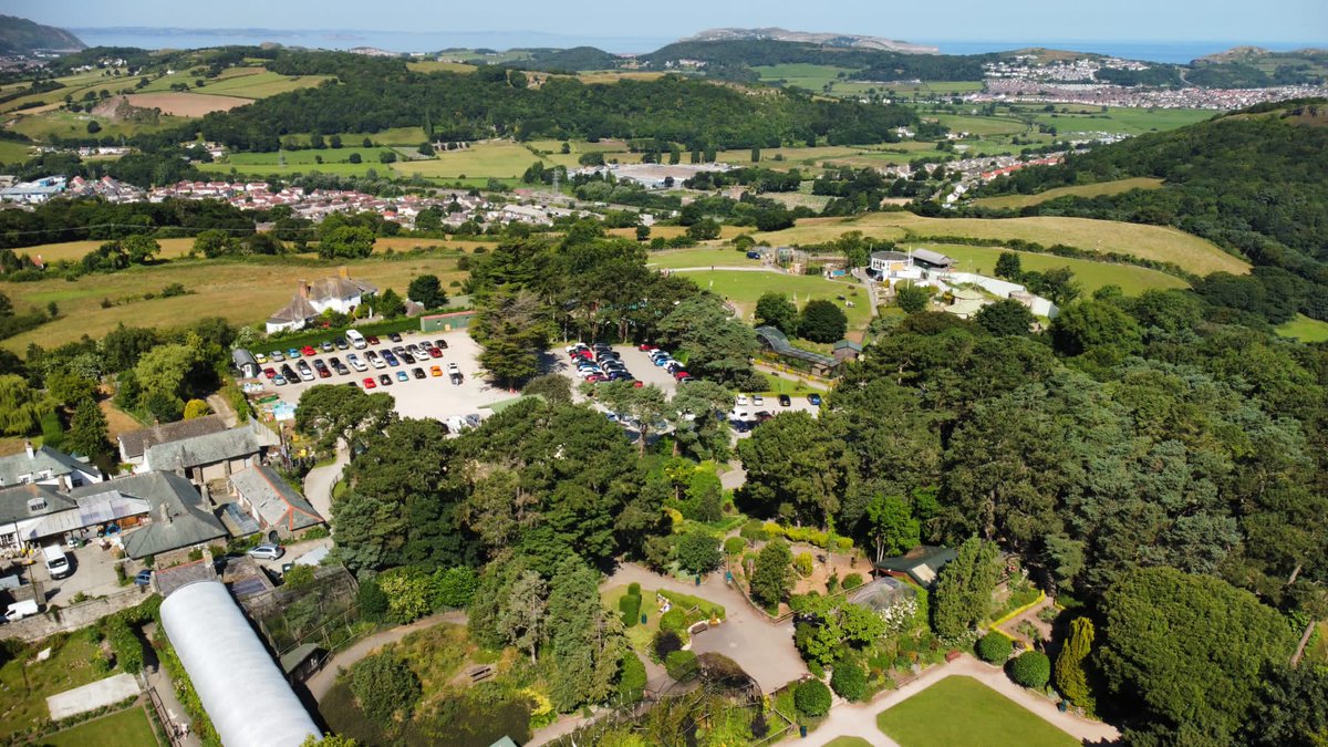WelshMountainZo's tweet image. Look at these spectacular views 😍

Our Zoo is set on one of the most picturesque and unique landscapes of any UK Zoo! 🐅

🌳 We span over 37 acres of lush green landscape, which overlooks Colwyn Bay and the Carneddau mountains ⛰️

#SpectacularViews #WelshMountainZoo #Wales