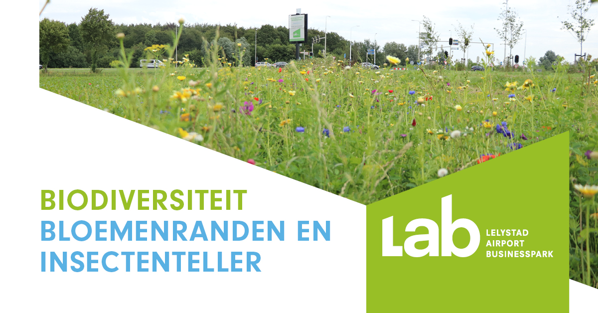 LAB tweet media