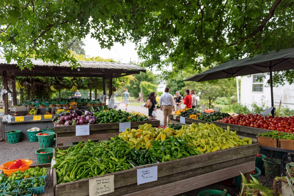 SenCappelletti's tweet photo. Last week, I was happy to stand with the @PAAgriculture, Secretary Russell Redding, @RepMJDaley, and the PA Farmers Union to highlight the importance of food safety in celebration of National Farmers Market Week and #PAProduceMonth.
Learn more: https://t.co/Q1cAXQdbVK https://t.co/vLSg0j2DDg