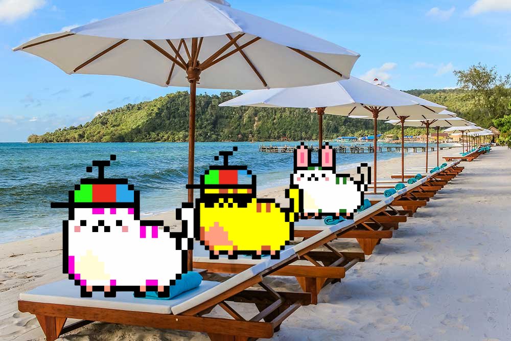 It's kitty Summer @kittycoins_io