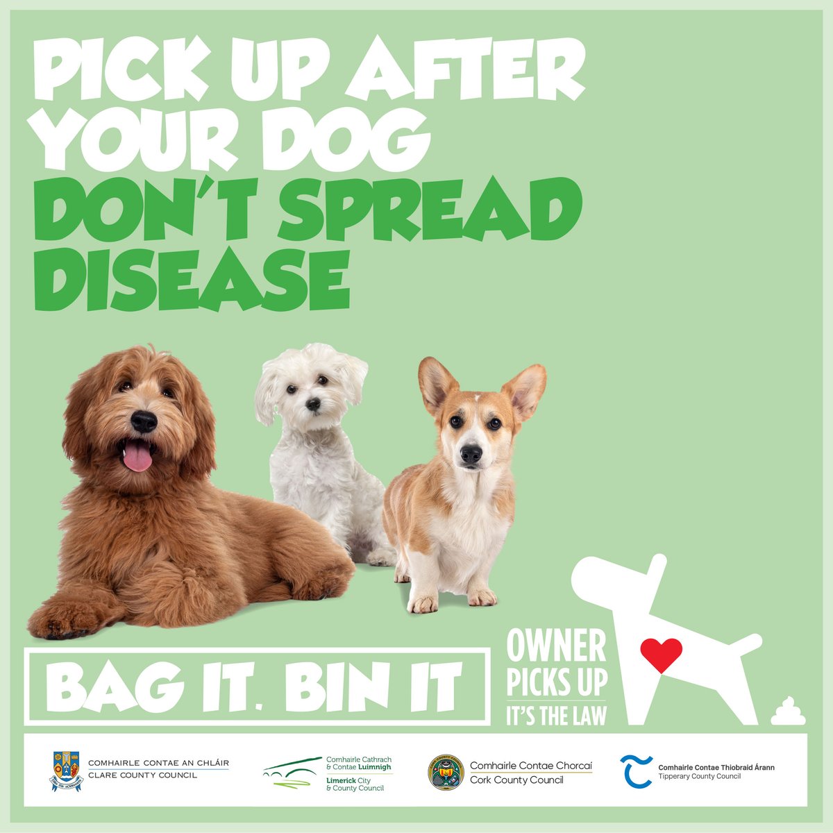 LmkTidyTown's tweet photo. Dog poo poses a significant public health risk particularly to children. It can contain disease caused by roundworm parasites. Always pick up after your dog no matter how big or small. Protect public health! #BagitBinit #LoveyourDog #OwnersPickUp @LimerickEnviron @LeaveNoTraceIrl https://t.co/t7Qia91i2b