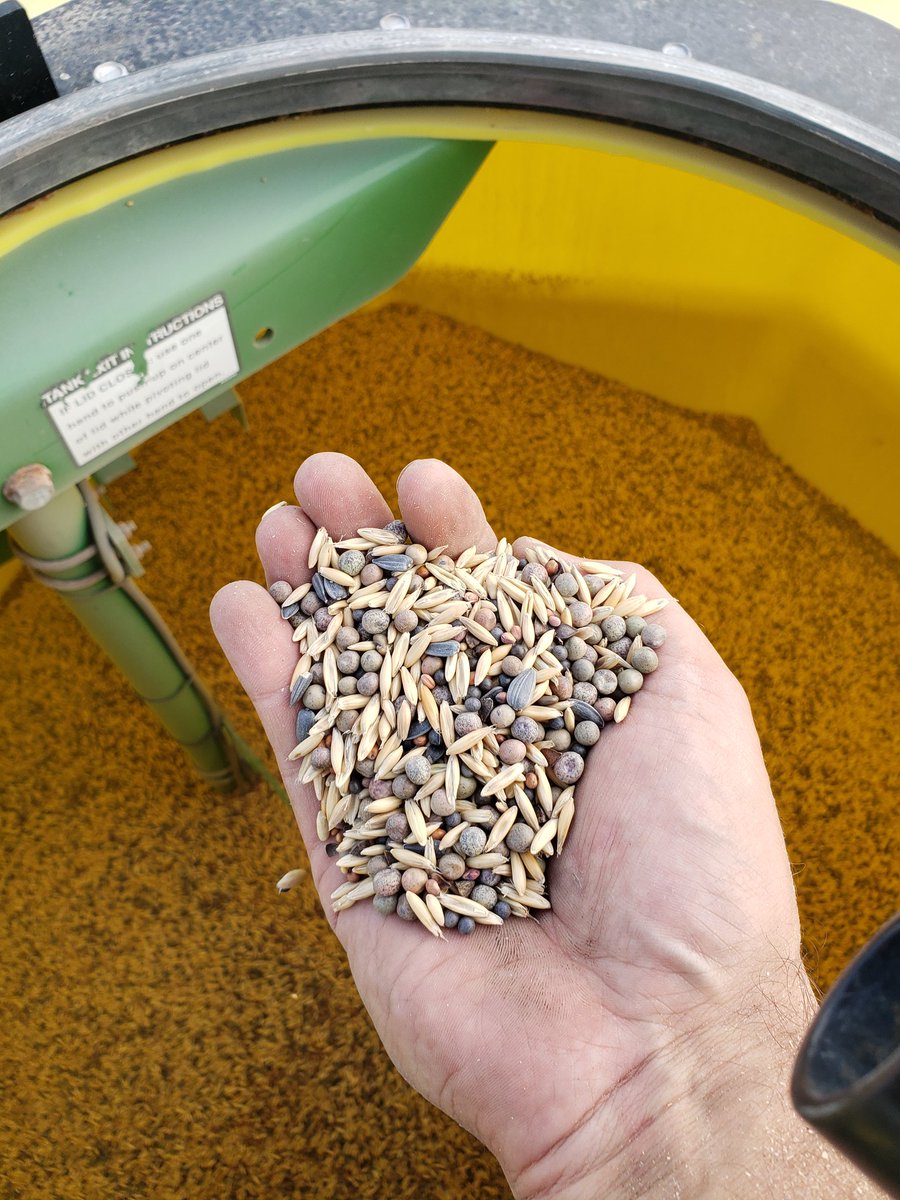 Combining is done,  wheat is dry and put away.  Now time for some fun.  #keepitcovered #soilhealth <a href="/SoilNetwork/">Ontario Soil Network</a> <a href="/OntarioSoilCrop/">Ontario Soil & Crop</a>