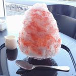 ツイートに含まれる画像
