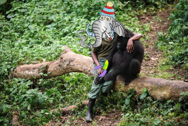 Ch6-1 Tiro, fully transformed by the cheetah white radioactive banana use his power for good. Working with park rangers across the continent to stop illegal poachers.
#untamedelephants #nft #MosekiMompati
<a href="/ElephantNFTS/">Nick Martell</a> #antipoaching #savetheelephants #boredbananas <a href="/bored_bananas/">Moved to Isle of NaN</a>