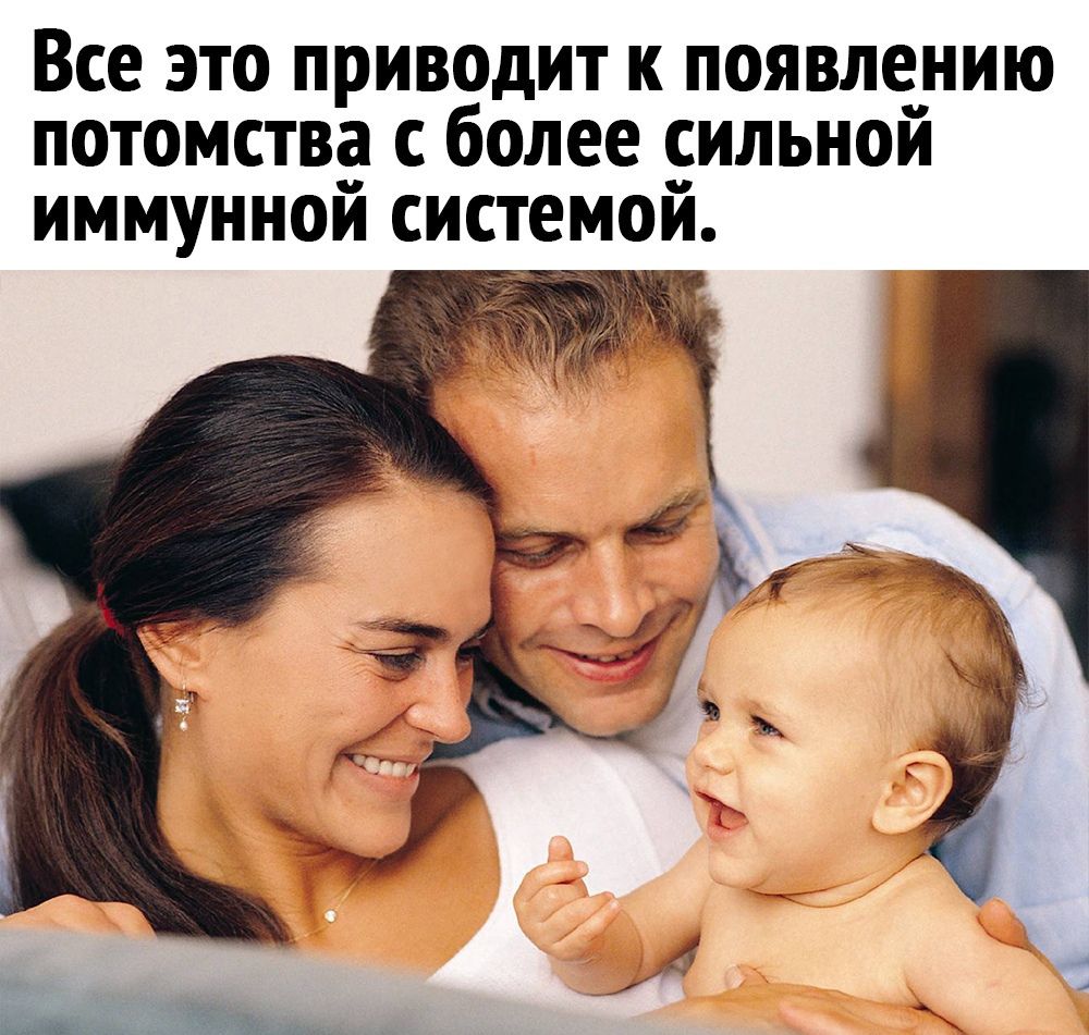 🇰🇬 🇩🇪 Печальный Рододендрон on Twitter: "Есть те кто этого не знает?👀…