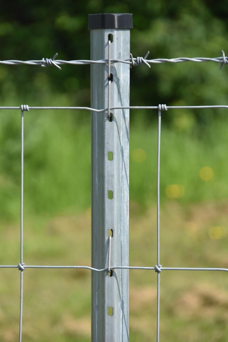 HamptonSteel's tweet photo. Why use timber when Versalok is guaranteed to last for 30 years? Versalok metal post and clip system -  suitable for all wire mesh patterns. No need to replace whole fence lines due to rotten posts!

#longlastingfenceposts #metalposts #steelposts #wirefencing #hamptonsteel https://t.co/OAVGhWj52r