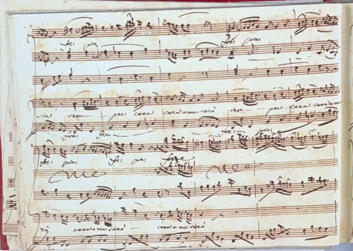 Alberto Cubero-Moreno tweet media