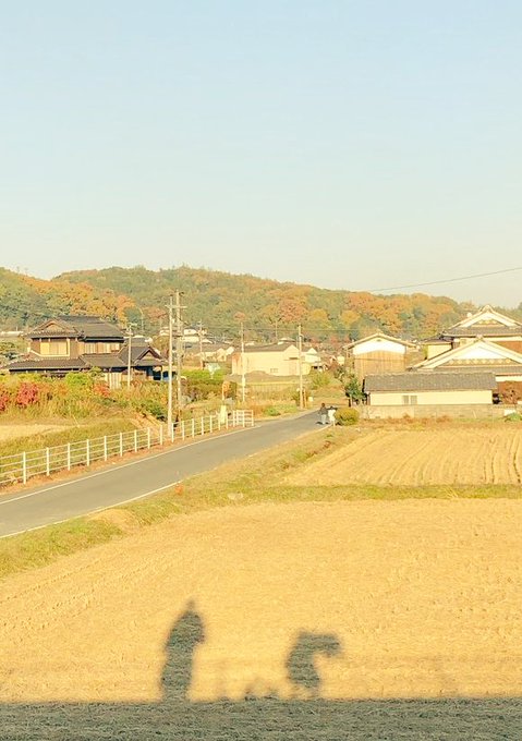 おさむしさん がハッシュタグ 悪魔の手毬唄 をつけたツイート一覧 1 Whotwi グラフィカルtwitter分析 おさむしさん がハッシュタグ 悪魔の手毬唄 をつけたツイート一覧 1 Whotwi グラフィカルtwitter分析