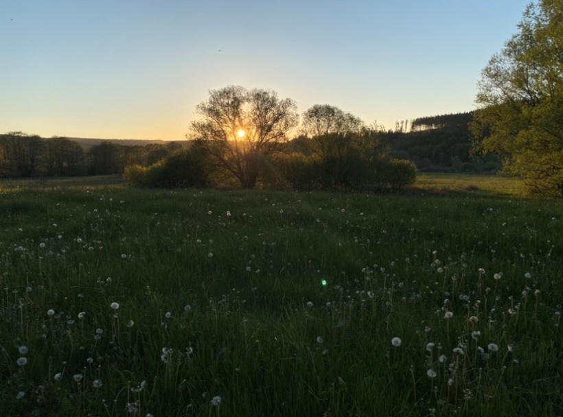 Two weeks ago I received my 2nd Pfizer jab, so I am now as protected against covid as one can be at the moment! Great feeling! Already created my EU travel QR code and ready to travel to Belgium (pictured) next weekend and to Germany in a month. #GetVaccinated