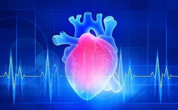 La quantité de chocolat absorbée est-elle liée à la variabilité de la fréquence cardiaque ? Divers études ont montré que les produits chocolatés avaient des effets favorables sur le système cardiovasculaire. Elles ont rapporté... | #chocolat #chococlic chococlic.com/La-quantite-de…