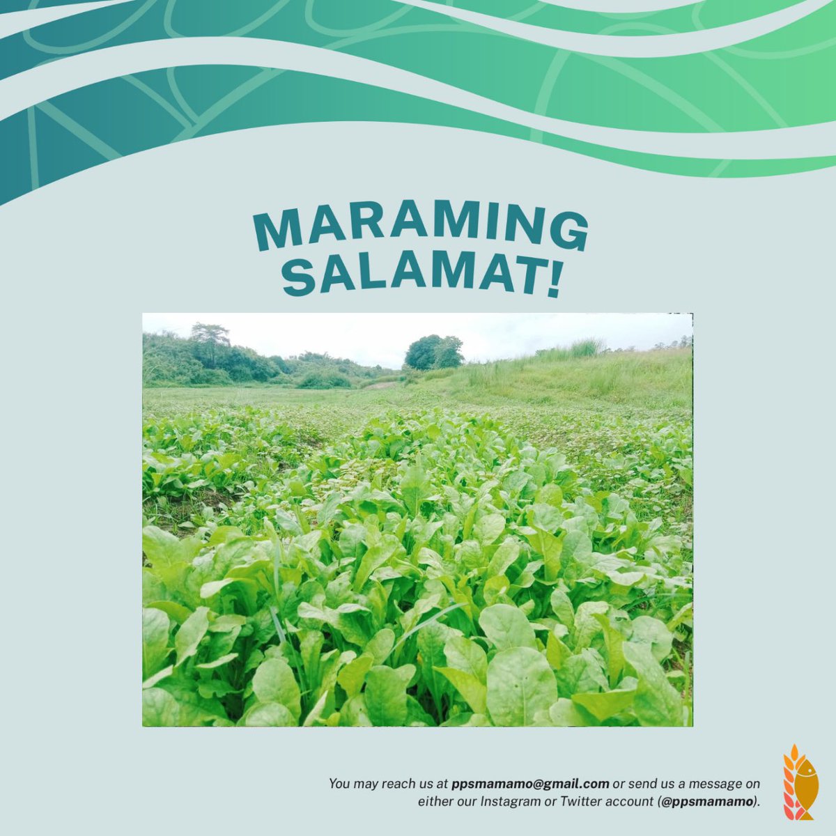 ppsmamamo's tweet photo. #StandWithFarmers
#ParaSaMAMAMO 🇵🇭

(2/2) https://t.co/9XdcCpCuUf