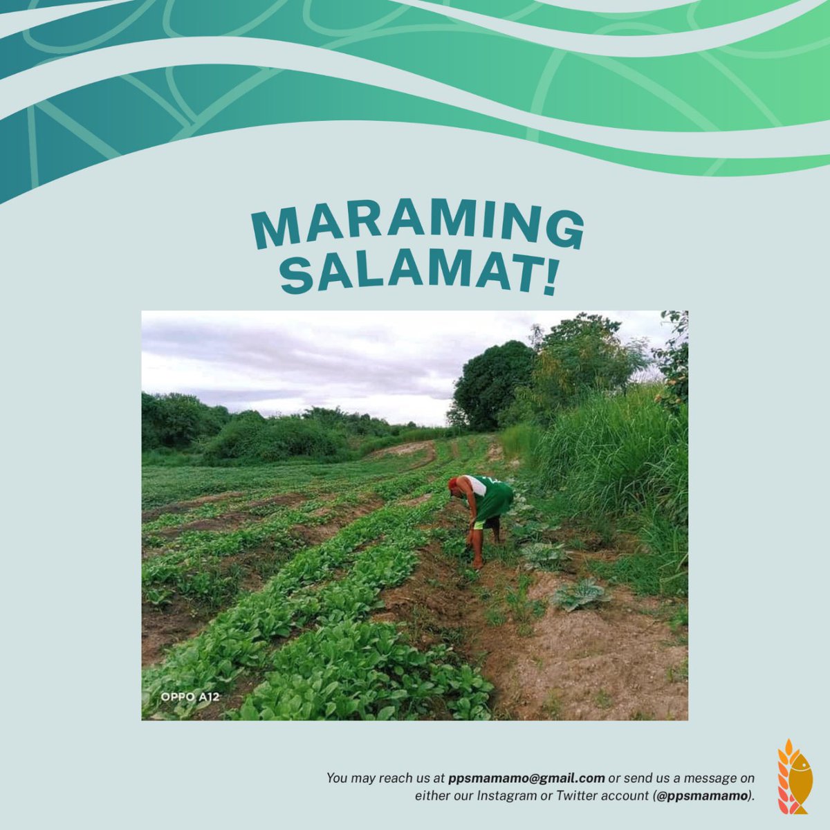 ppsmamamo's tweet photo. #StandWithFarmers
#ParaSaMAMAMO 🇵🇭

(2/2) https://t.co/9XdcCpCuUf