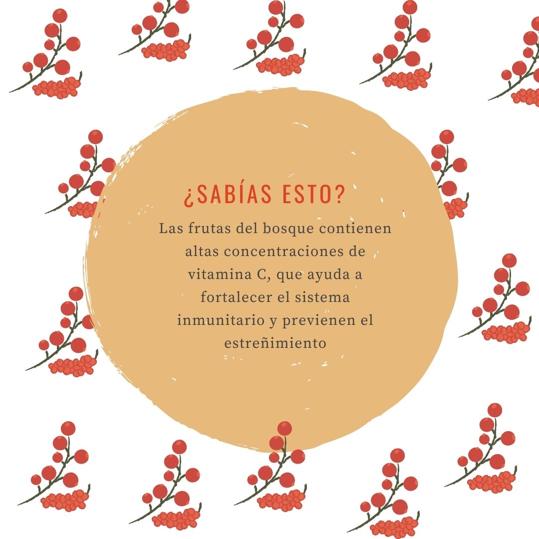 Las frutas del bosque contienen altas concentraciones de vitamina C, que ayuda a fortalecer el sistema inmunitario y previenen el estreñimiento. Además contienen también vitaminas K y E, magnesio, ácido fólico y potasio. 

#vitaldibe #infusion #ecologico #frutasdelbosque
