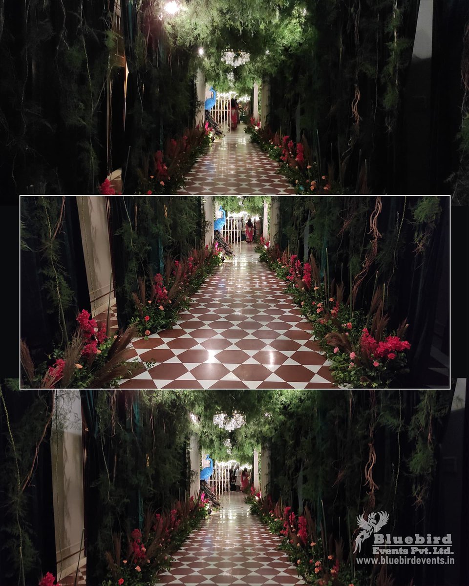 bluebirdevents2's tweet photo. #SangeetNight Wedding by @bluebirdeventsagra1
#arunsoulmusic @anupamsrivastavaagra #Wedding_Planner #eventmanagement #decoration #The_Oberoi_Amarvilas_Agra #Destination_wedding #Bluebird #Agra
___________
#weddingdecor #wedding #weddinginspiration #weddingplanner https://t.co/rF9hlMLh0h