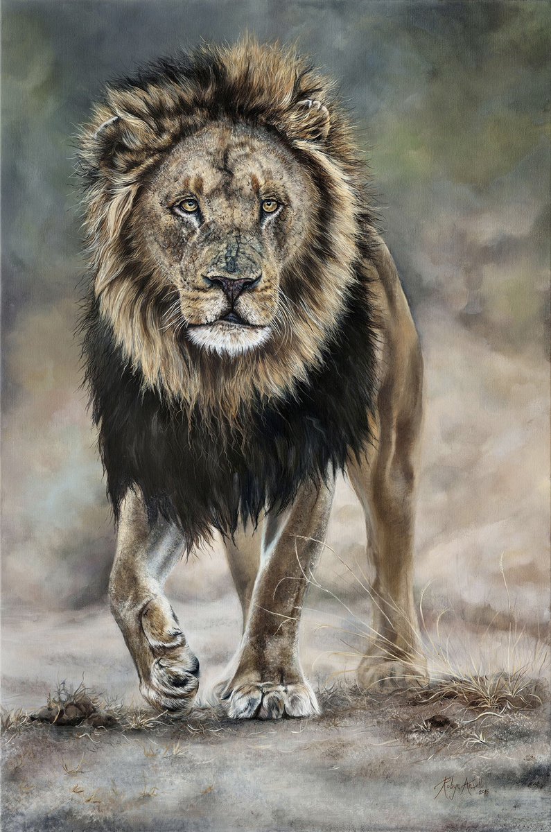 It’s #WorldLionDay 🐾
Here's and oil on linen, 
1000 mm x 670 mm 
#naturelovers #big5
#TwitterNatureCommunity #ArtistOnTwitter #robynansellart #natureart #artoftheday #art #lion #lionpainting #oilonlinen