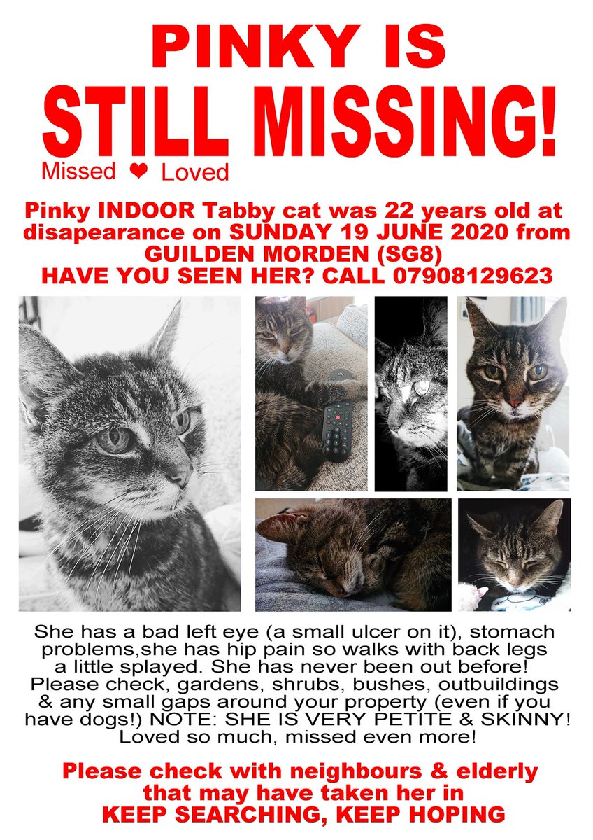 Pinky is still missing, please keep an eye out as per the poster. #SG8 #GuildenMorden #Cambridgeshire #UK #MissingCatsUK 🐈‍⬛🤞❤️🐾