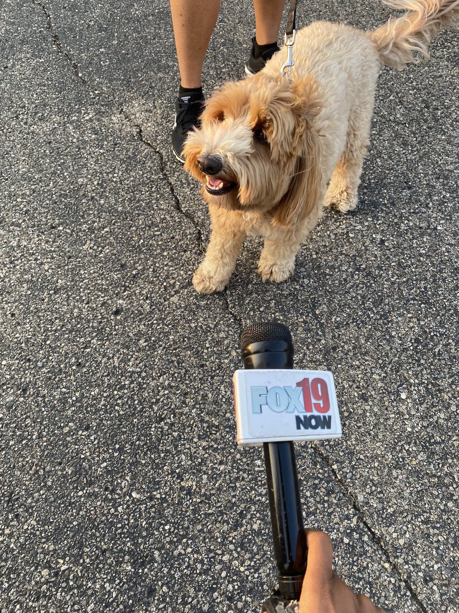 MorganParrishTV's tweet photo. With some adorable pups this morning at #OffLeashK9Training in Loveland..We are speaking with the owner about the expansion to their building, after he tells me business has been booming during the pandemic @FOX19 🐶 🐾 https://t.co/sq3gquq7mH
