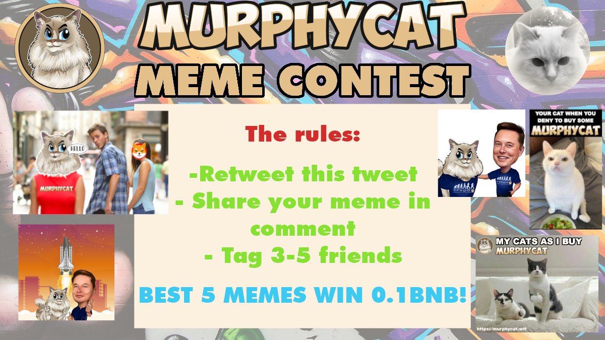 MURPHYCAT tweet media