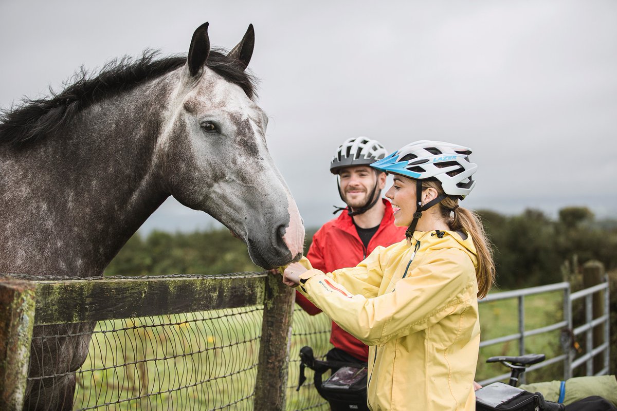 Making friends with the locals...🐴

Plan your next cycling trip along the #Eurovelo Route 1 in the West of #Ireland and immerse yourself in nature.

Visit our website for more info 👉 atlanticonbike.ie

#atlanticonbike #eurovelo #route1