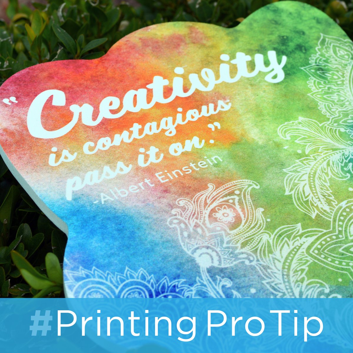 VycomPlastics's tweet photo. #PrintingProTip: Shapeshift Your #Prints
Everyone wants their #Logo, #Messaging, or #Design to cut through the noise and get noticed. A simple way to grab your audience's attention is to add unique #Shapes. Your #Sign will be more memorable!
https://t.co/WmiTOXMR1h https://t.co/Pi1ZhIWDHp