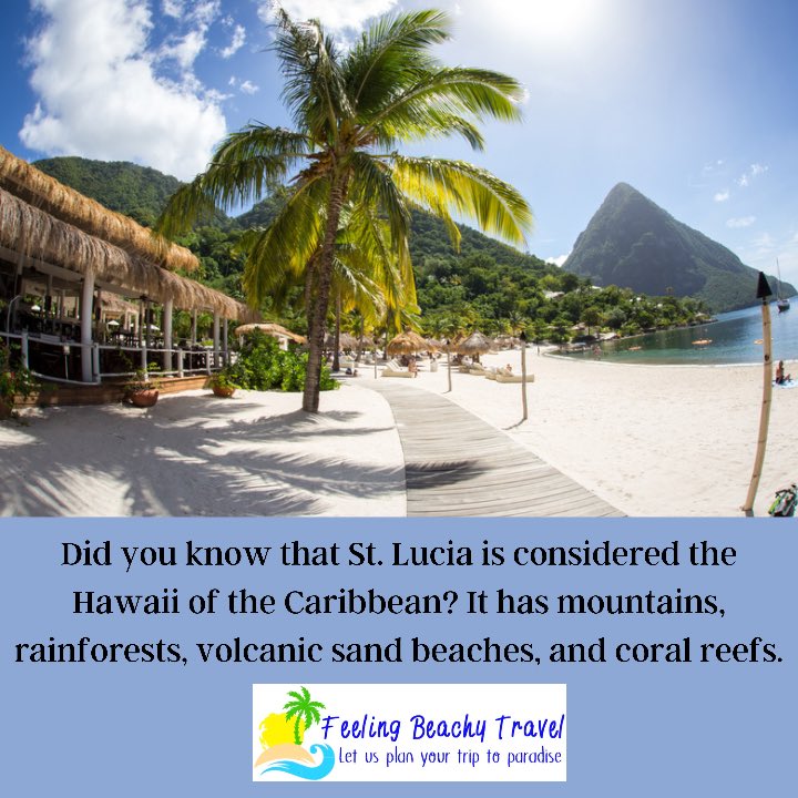 FeelingBeachyTravel tweet media