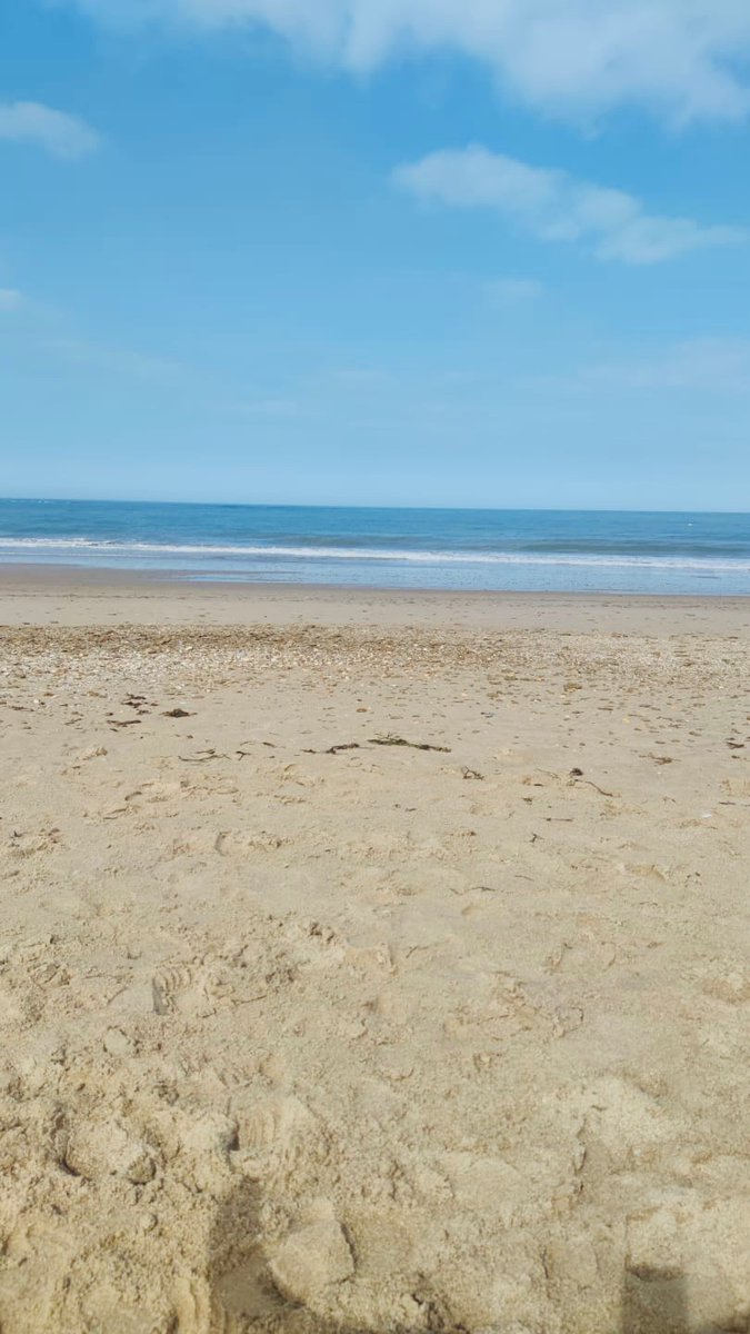 KateAusten5's tweet image. Esa playa, rodeada de esteros, abierta al Atlántico, es nuestro #Camposoto, la playa donde mi padre nos llevaba. Un paraíso con aire propio que no necesita barcos de lujo. Sal y sol.