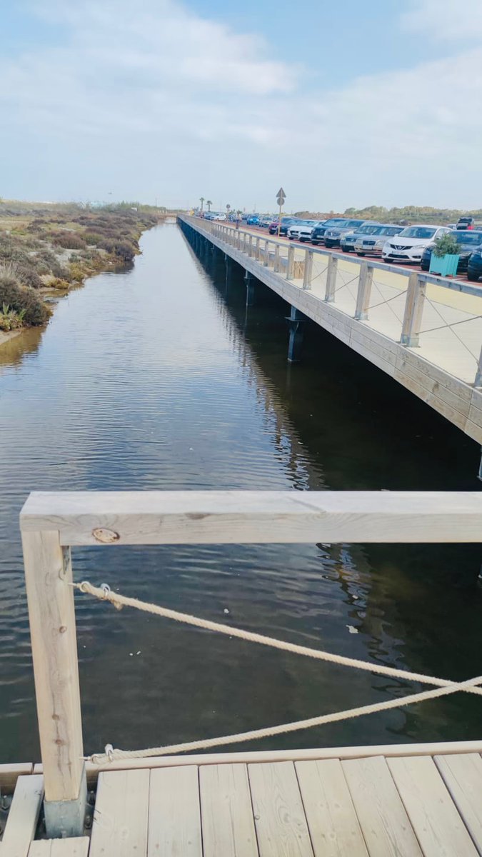 KateAusten5's tweet image. Esa playa, rodeada de esteros, abierta al Atlántico, es nuestro #Camposoto, la playa donde mi padre nos llevaba. Un paraíso con aire propio que no necesita barcos de lujo. Sal y sol.